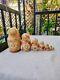 7 Piece Russian Hand Painted Wood Burnt Nesting Dolls Artist Signed