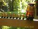 Vintage Russian Nesting Matryoshka Doll-big Cat + 8 Kittens, From 6 1/4 To 2
